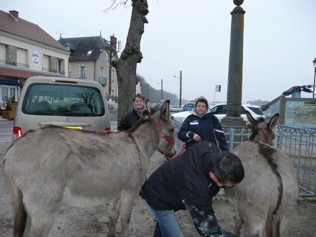 Loire propre 2013 (2).jpg